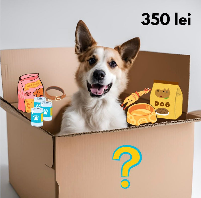 Mystery Box Caini Secret C459, cadou misterios, gustari nutritive, 3 kg, toate taliile image 0