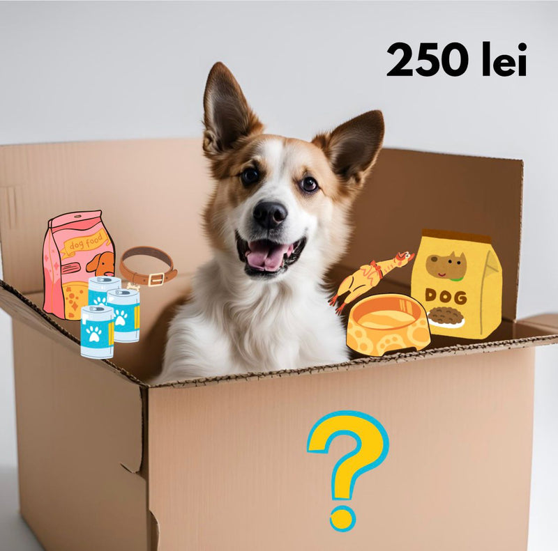 Cutie cadou misterios caine Secret C458, valoare 150 lei, toate talile, toate varstele image 0