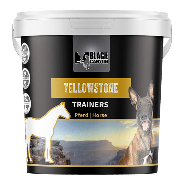 Black Canyon Dog Trainers Yellowstone Horse 600g