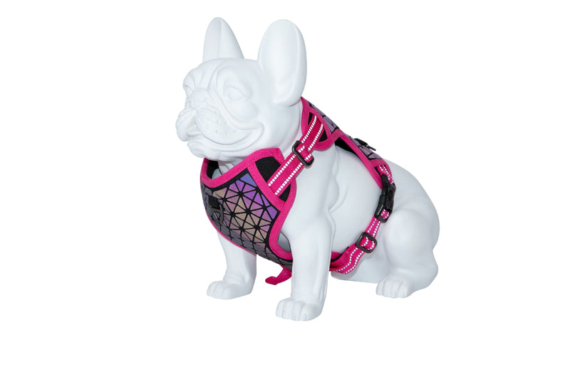 Freedog Boreal Harness FUCHSIA S 15mm Neck 32 48cm Chest 34 63cm - Ham