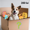 Mystery Box Caini Secret C459, cadou misterios, gustari nutritive, 3 kg, toate taliile