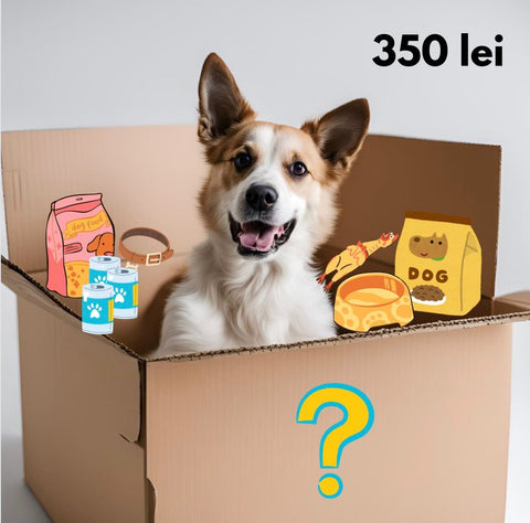 Mystery Box Caini Secret C459, cadou misterios, gustari nutritive, 3 kg, toate taliile image 0