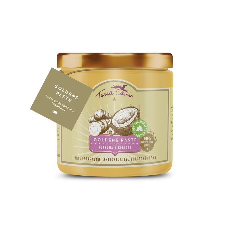 Supliment imunitate caini Terra Canis Golden Paste 250ml, turmeric, ulei cocos, bio image 0
