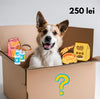 Cutie cadou misterios caine Secret C458, valoare 150 lei, toate talile, toate varstele