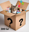 Mystery Box pisica Secret C456, produse premium, hrana sanatoasa, jucarii distractive, accesorii