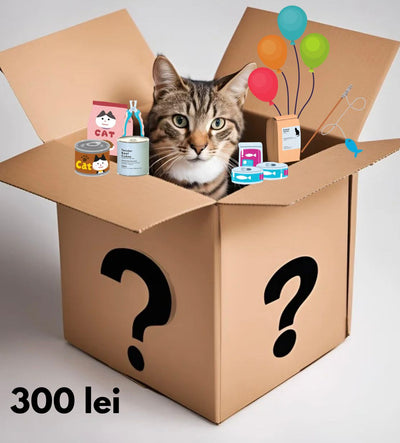 Mystery Box pisica Secret C456, produse premium, hrana sanatoasa, jucarii distractive, accesorii