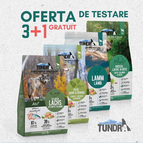 Hrana caini TUNDRA C138, proteina caprioara, adulti, 3kg, pungi 750g image 0