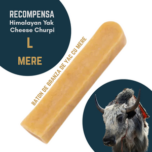 Recompensa caini Petmex Baton branza Yak Churpi, marime L, cu Mere, igiena orala