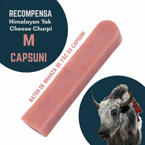 Baton branza de Yak Himalaya Churpi M cu Capsuni - recompensa caini