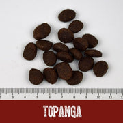 Black Canyon Dog Topanga Tuna and Lamb 14kg (Ton si Miel)
