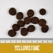 Black Canyon Dog Yellowstone Horse 14kg (Cal)