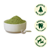 WILD BALANCE Bye Bye Plaque 100g -Supliment pentru eliminarea tartrului si a respiratiei urat mirositoare