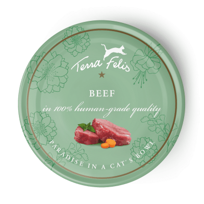 Hrana umeda pisici Terra Canis Beef 80g, 58% carne vita, vitamine A D3 E, fara conservanti image 0