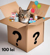 Mystery Box Pisica Secret C452, 3 kg, hrana, jucarii, accesorii premium