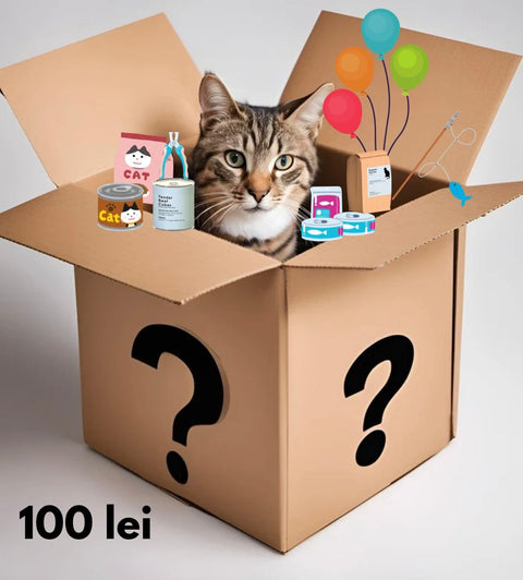 Mystery Box Pisica Secret C452, 3 kg, hrana, jucarii, accesorii premium image 0