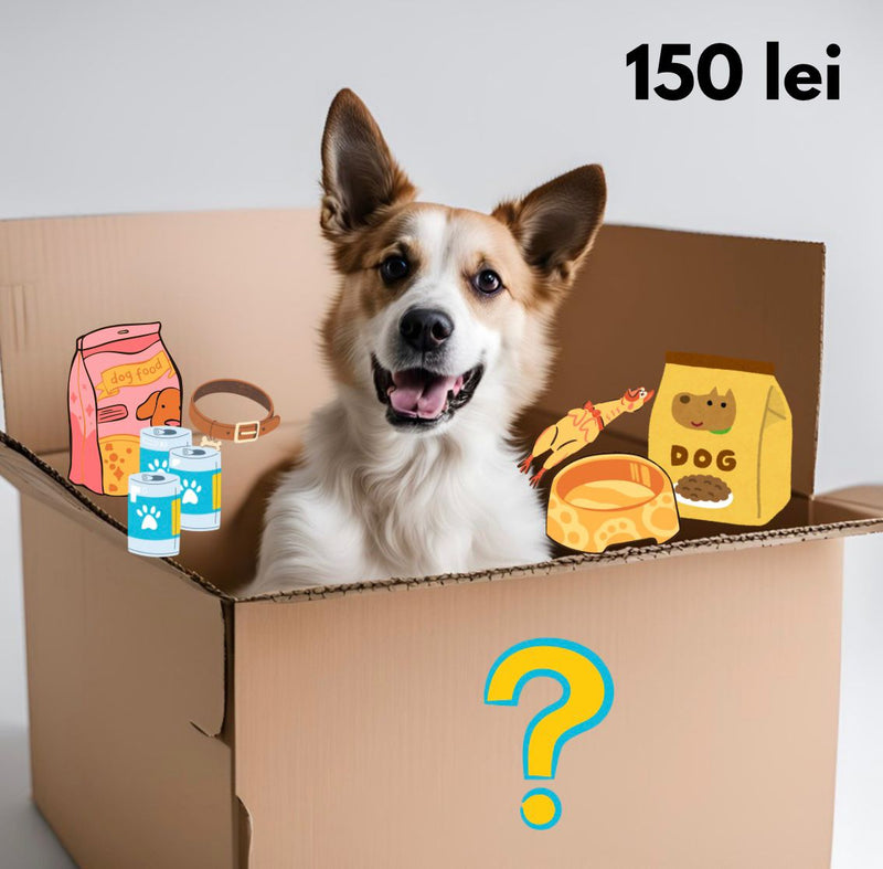 Mystery Box caini Secret C457, cadou surpriza, 3 kg, pentru toate taliile image 0
