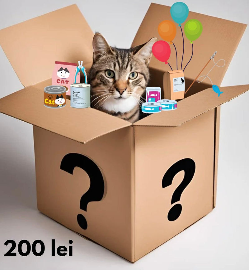 Mystery Box pisica Secret C455, 3 kg hrana jucarii, accesorii premium, surprize variate image 0
