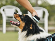 Freedog 2-in-1 Grooming Brush S 21,5 x 6 x 5,4 cm