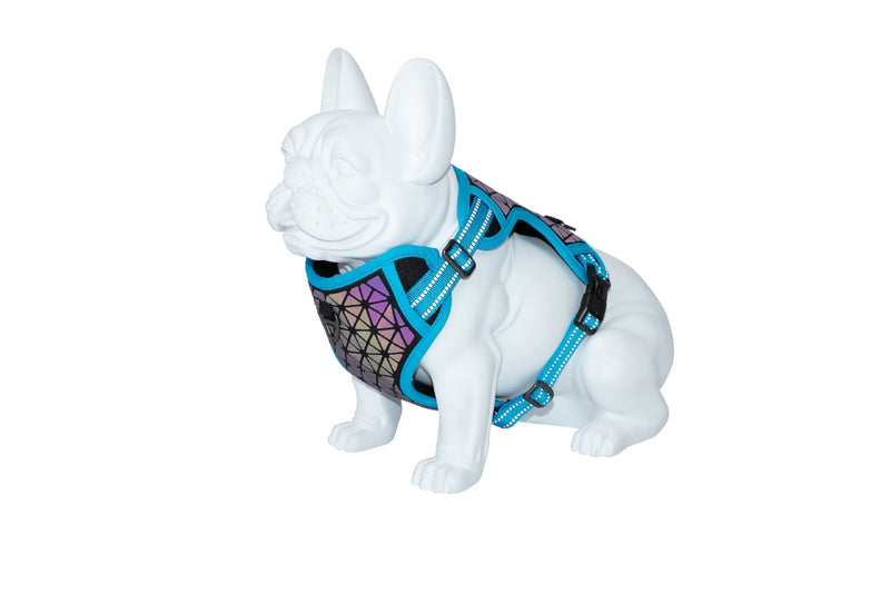 Freedog Boreal Harness Blue Capri M 20mm Neck 38 59cm Chest 38 75cm - Ham