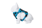 Freedog Boreal Harness Blue Capri S 15mm Neck 32 48cm Chest 34 63cm - Ham