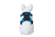 Freedog Boreal Harness Blue Capri S 15mm Neck 32 48cm Chest 34 63cm - Ham