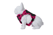 Freedog Boreal Harness FUCHSIA L 25mm Neck 43 65cm Chest 45 90cm