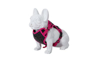 Freedog Boreal Harness FUCHSIA L 25mm Neck 43 65cm Chest 45 90cm