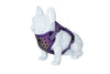 Freedog Boreal Harness LILAC L 25mm Neck 43 65cm Chest 45 90cm