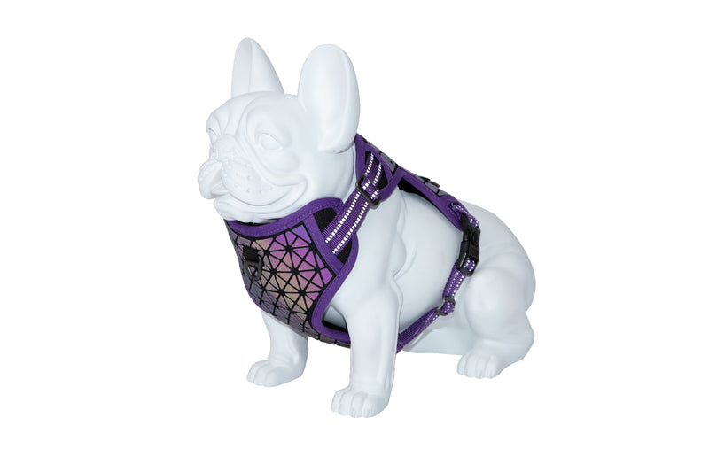 Freedog Boreal Harness LILAC L 25mm Neck 43 65cm Chest 45 90cm