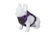Freedog Boreal Harness LILAC L 25mm Neck 43 65cm Chest 45 90cm