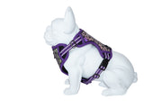 Freedog Boreal Harness LILAC L 25mm Neck 43 65cm Chest 45 90cm