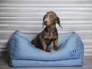 Freedog Glacial Bed LIGHT BLUE S 66 x 51 x 23 cm - Pat