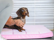 Freedog Glacial Mattress LIGHT BLUE S 76 x 56 x 5 cm - Saltea