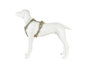 Freedog Limitless Harness BEIGE S 20mm x Neck 30,5 45,5cm Chest 43 58,5cm