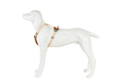 Freedog Linum Harness SAND BEIGE L 25mm x Neck 40 55cm Chest 60 90cm