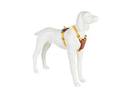Freedog Linum Harness YELLOW SUNRISE L 25mm x Neck 40 55cm Chest 60 90cm