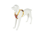 Freedog Linum Harness YELLOW SUNRISE M 20mm x Neck 34 50cm Chest 50 70cm