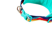 Freedog Peak Collar Montse S 15 mm x 35-42 cm