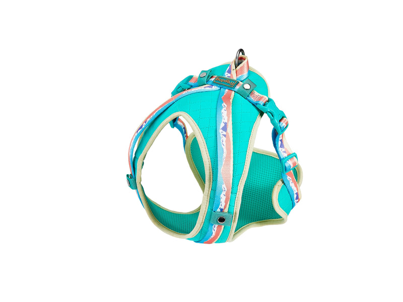 Freedog Peak Harness Sierra S 15mm x Neck 32-50cm Chest 54-66cm