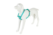 Freedog Saferide PRO Safety Harness Special for Cars TURQUOISE M 20mm