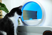 Litiera Automata Pentru Pisici Cu WiFi Si Aplicatie, Autocuratare, 65L, 9L Colectare, Sterilizare Ionica, Smart Cat Litter V1