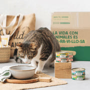 Wild Balance Cat Traditional Ragout Beef and Chicken 80g (Vita si Pui)