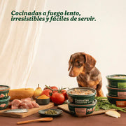 Wild Balance Dog Anchovy, Turkey and Apple 280g - Homemade Casserole (Hamsie, Curcan si Mar)