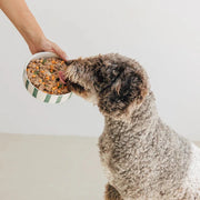 Wild Balance Dog Pork with Fresh Veggie 400g - BARF Philosophy (Porc si Legume)