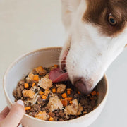 Wild Balance Dog Salmon and Beef 400g - BARF Philosophy (Somon si Vita)