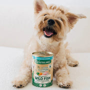Wild Balance Dog Wild Fish and Turkey 400G - BARF Philosophy (Peste si Curcan)